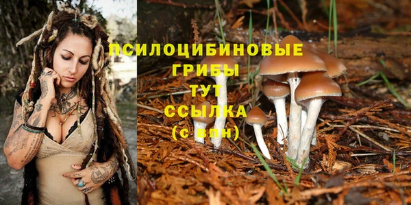 кокаин Арсеньев